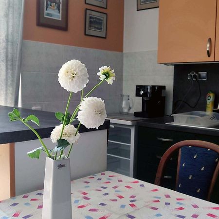Apartman Ulehla Zlin Exterior photo